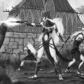 Malentian Forces