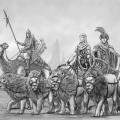Nimburian Forces