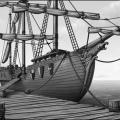 The Sea Dragon